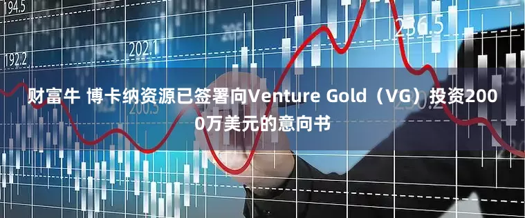 财富牛 博卡纳资源已签署向Venture Gold（VG）投资2000万美元的意向书