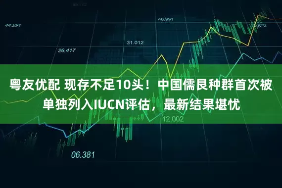 粤友优配 现存不足10头！中国儒艮种群首次被单独列入IUCN评估，最新结果堪忧